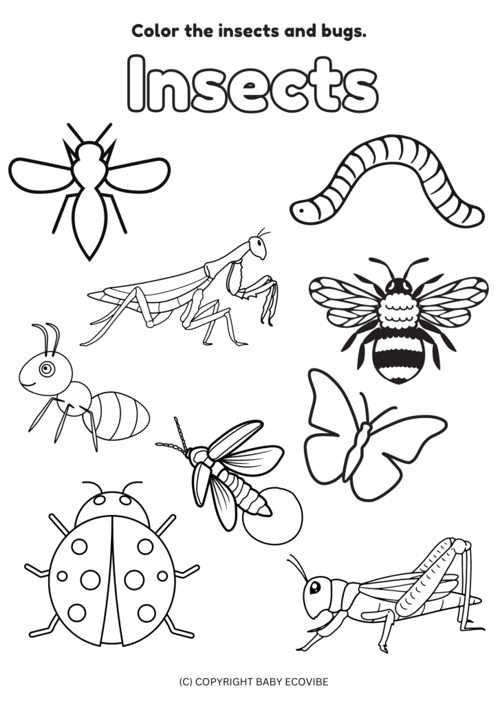 Free Printables! Insect and Bug Crafts for Preschoolers - Baby EcoVibe