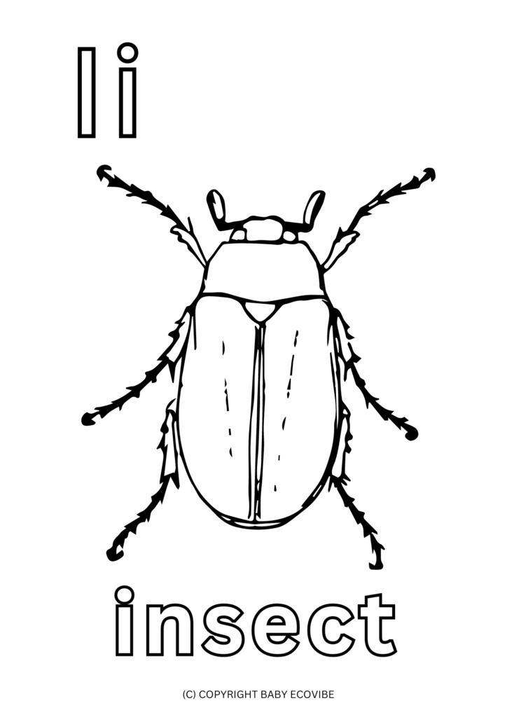 Free Printables! Insect and Bug Crafts for Preschoolers - Baby EcoVibe